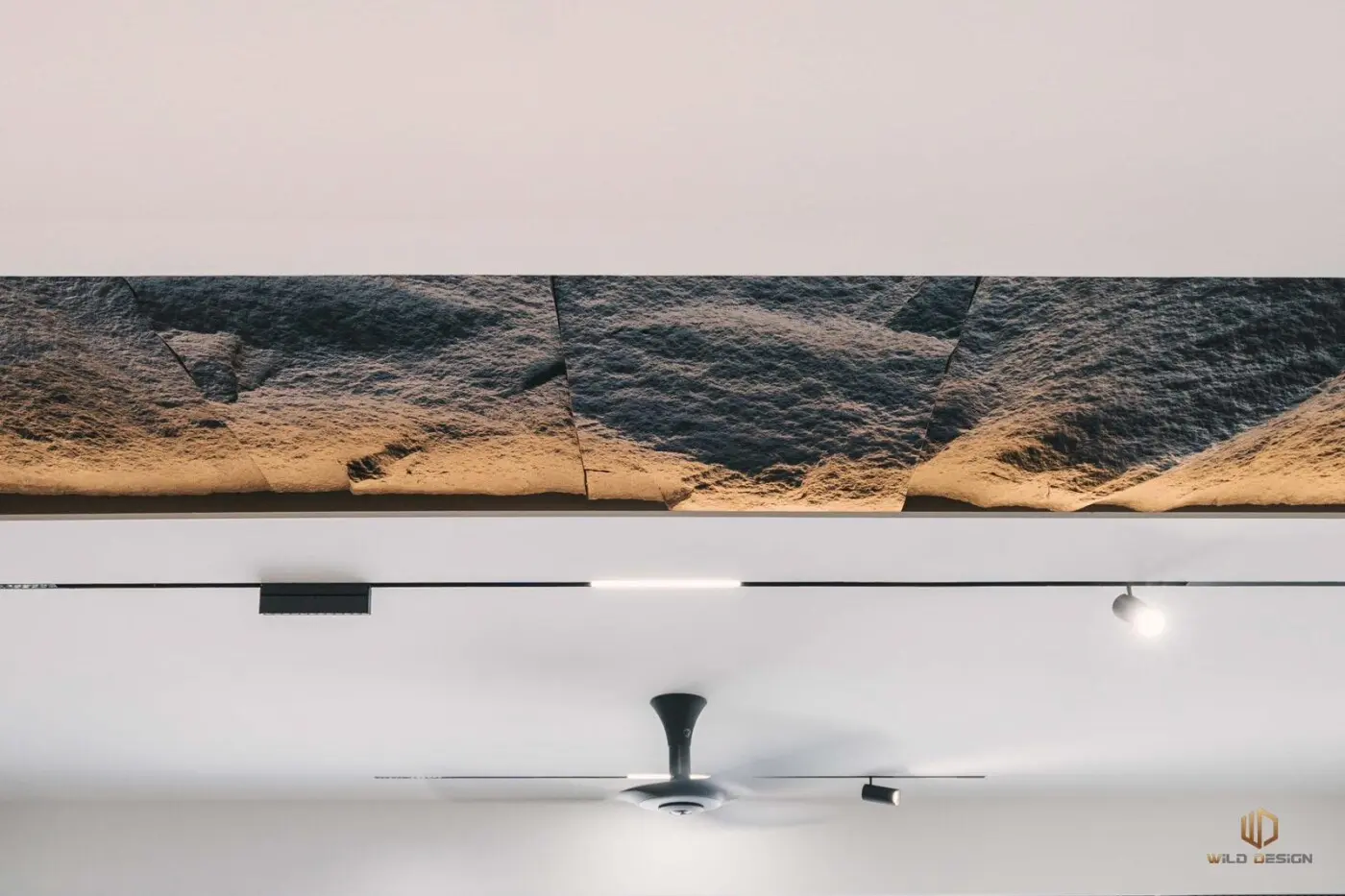 Wild Design - Black & White - Living hall - New Condo - $60,000