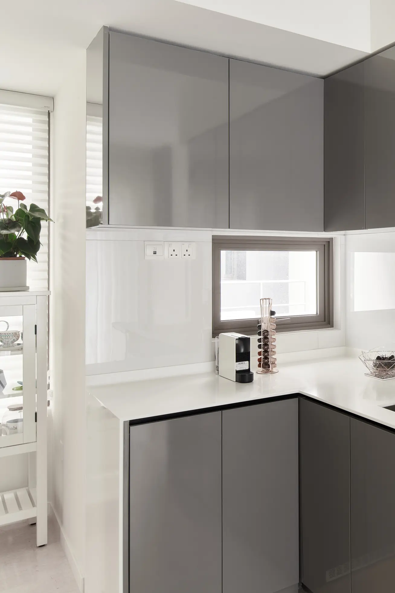 Starry Homestead - Modern / Contemporary -  - New Condo - $24,000