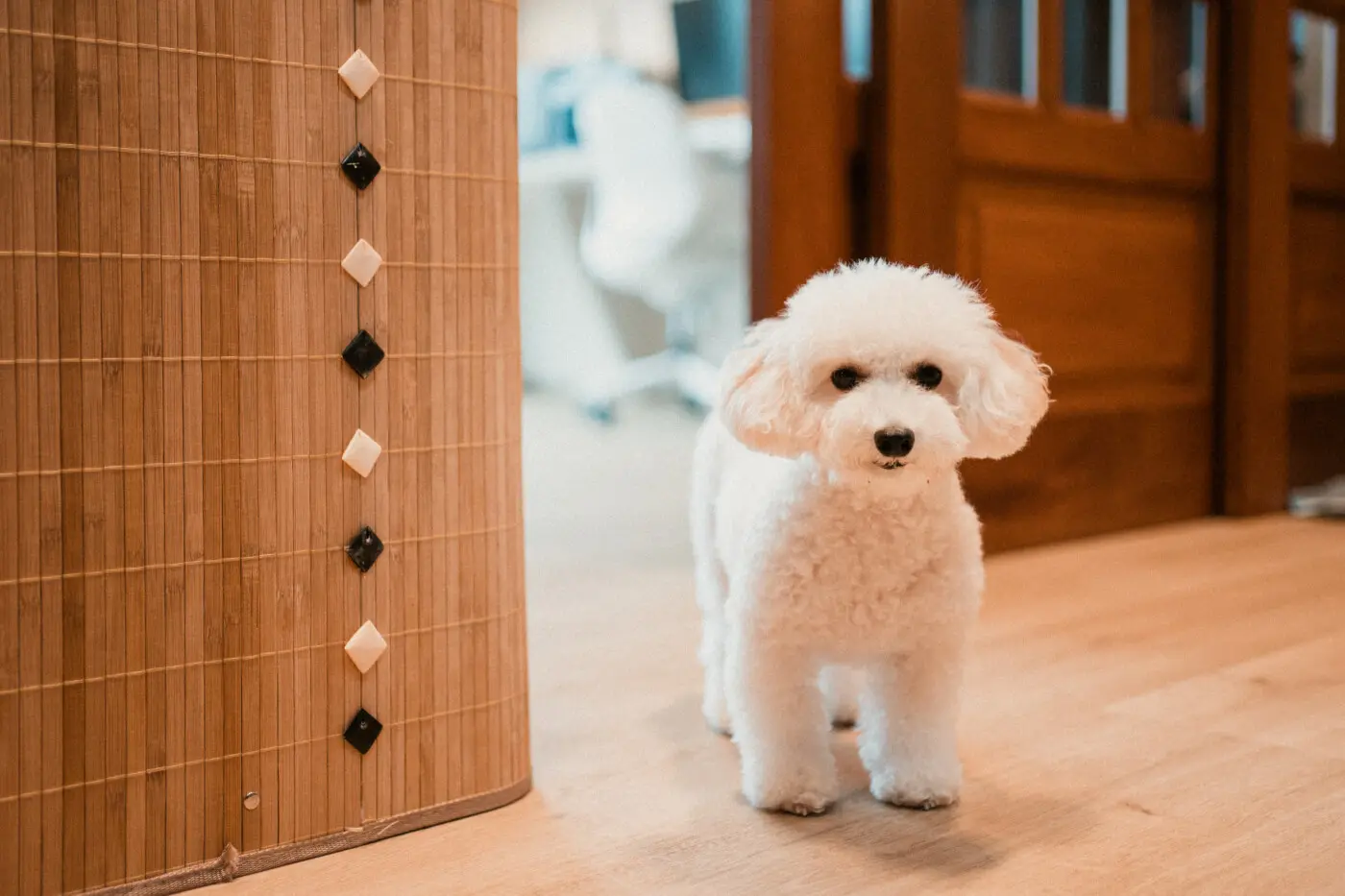 Interior Artist - Minimalistic / Scandinavian - Hallway - Resale Condo - $130,000