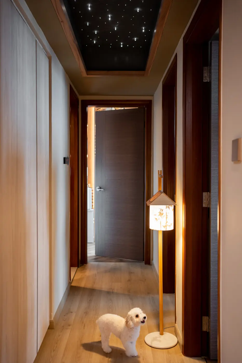 Interior Artist - Minimalistic / Scandinavian - Hallway - Resale Condo - $130,000